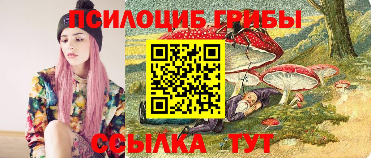 Альфа ПВП Сланцы